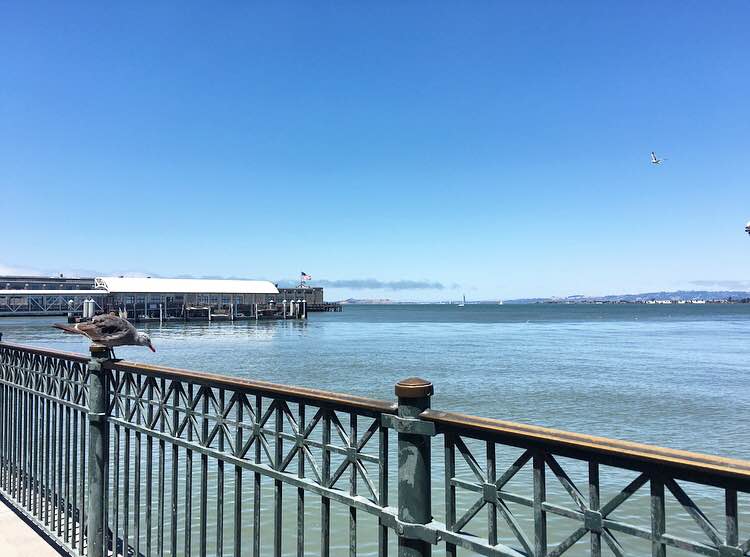 FERRY BUILDING views